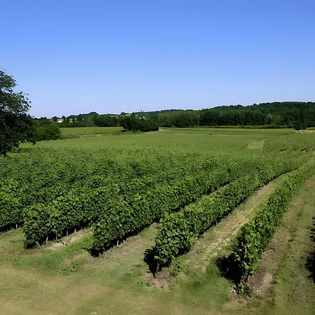 - Chateau Le Noble Appartement Saint-Germain-du-Puch