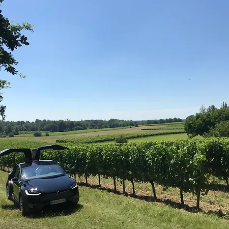 - Chateau Le Noble Saint-Germain-du-Puch
