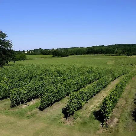 - Chateau Le Noble * Saint-Germain-du-Puch