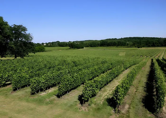 - Chateau Le Noble Lägenhet Saint-Germain-du-Puch