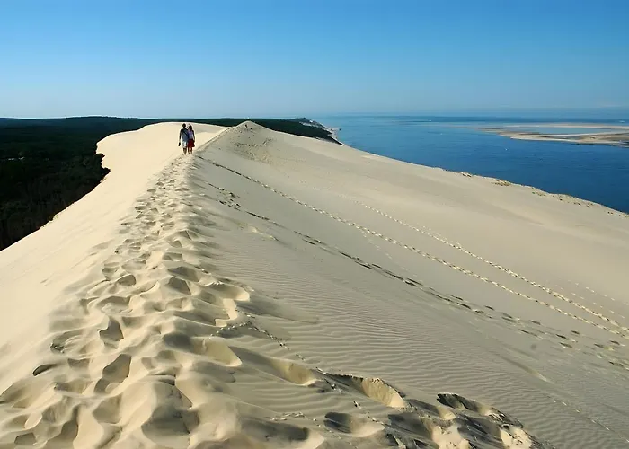 - Chateau Le Noble Lägenhet *